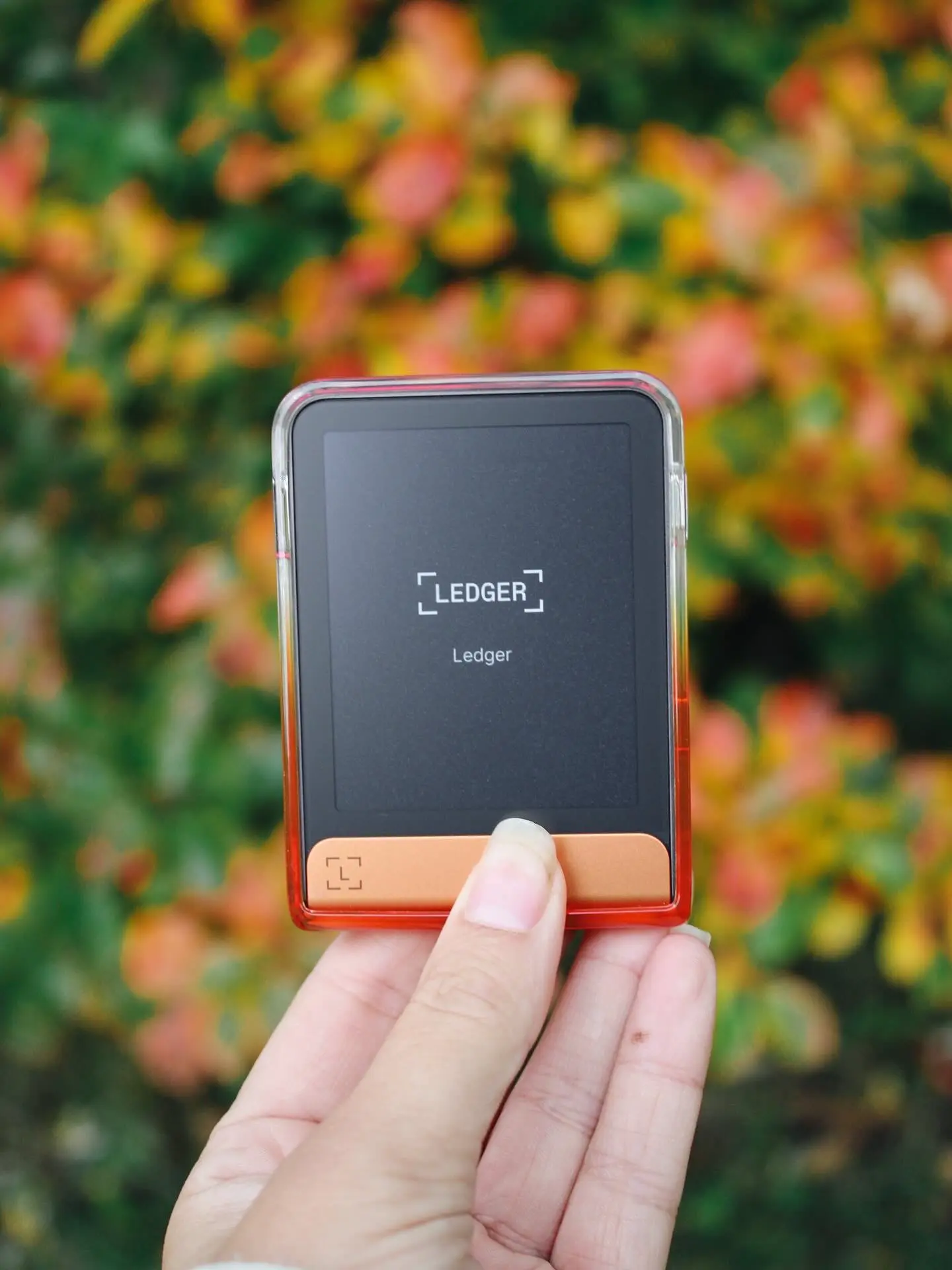 Ledger 真伪验证方法图示