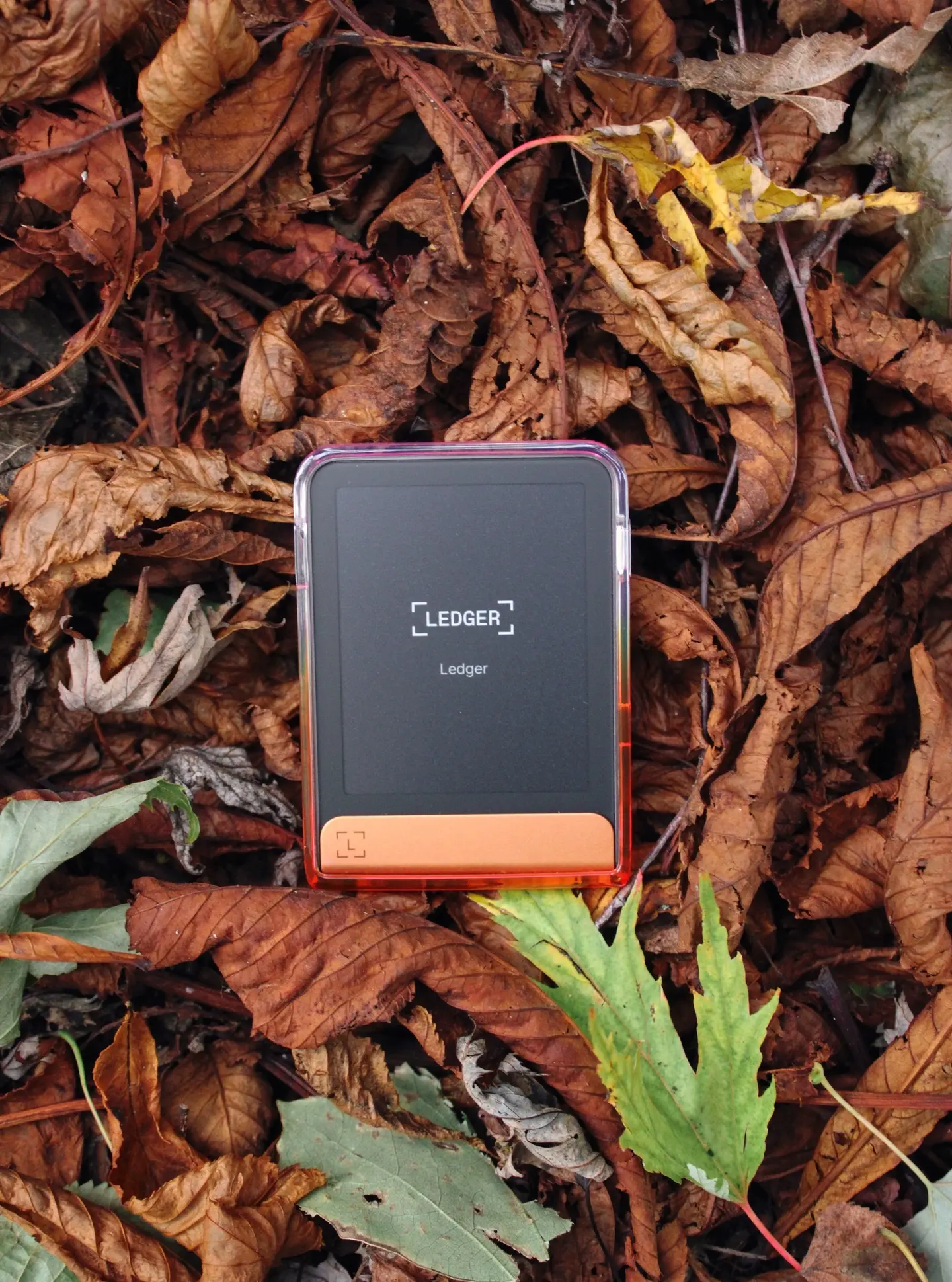 Ledger 官方正版验证方法示意图