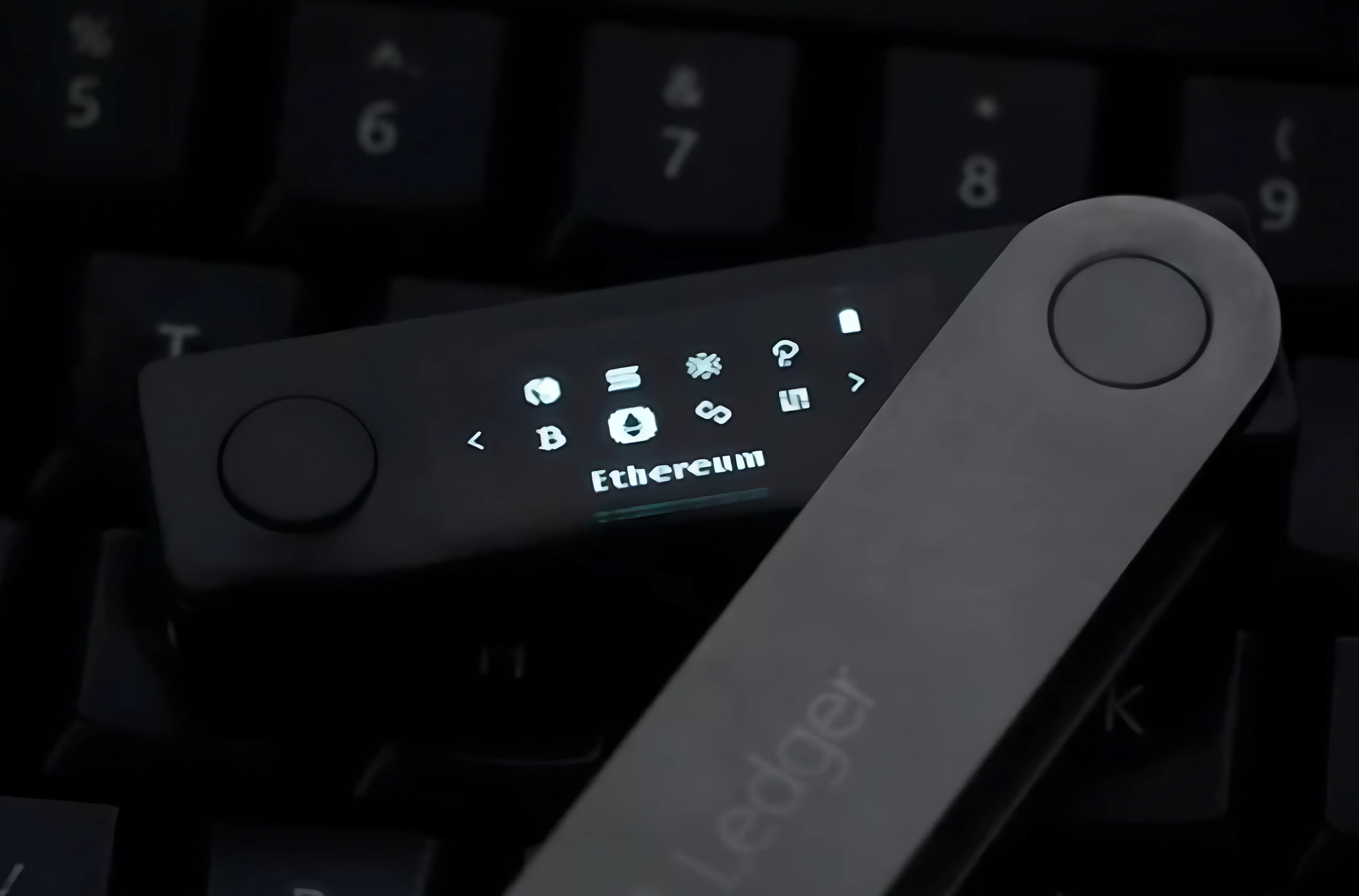 ledger 穗光商贸参加展会